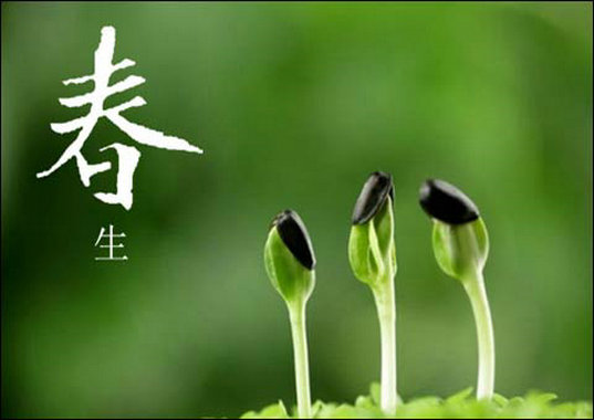 踏青(圖1) 踏青(圖1)