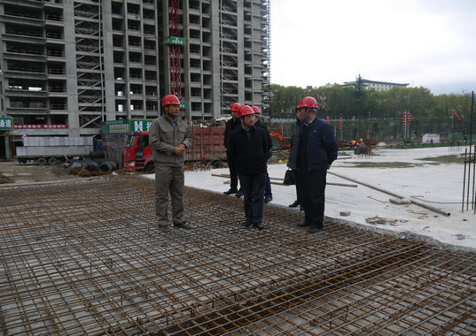朱軍赴都勻項目調研指導工作(圖1) 朱軍赴都勻項目調研指導工作(圖1)